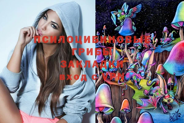 мдпв Грязи