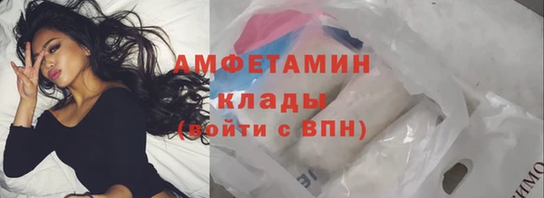метадон Алексин