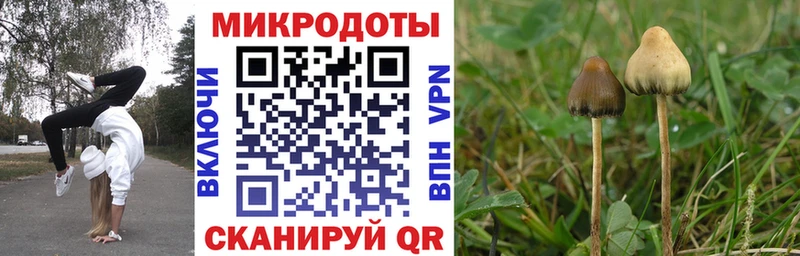 Галлюциногенные грибы прущие грибы  Карабулак 